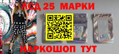 стаф Гай