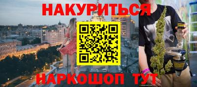 стаф Гай
