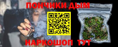 стаф Гай