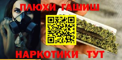 стаф Гай