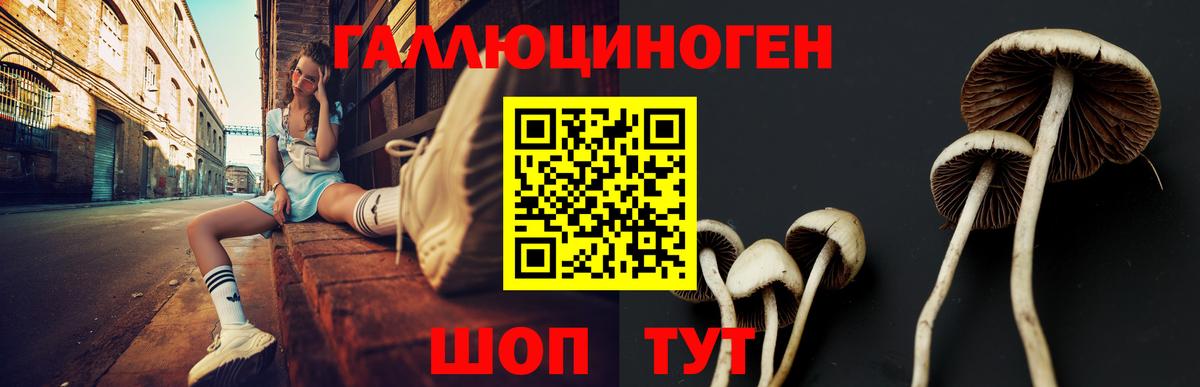 Псилоцибиновые грибы мухоморы Минусинск
