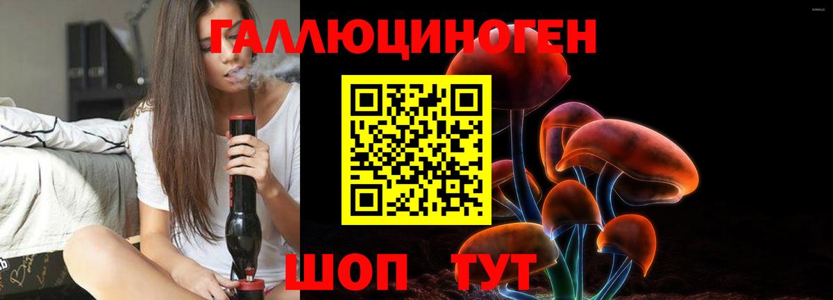 Минусинск  Псилоцибиновые грибы Psilocybe  где найти   Вход с VPN 